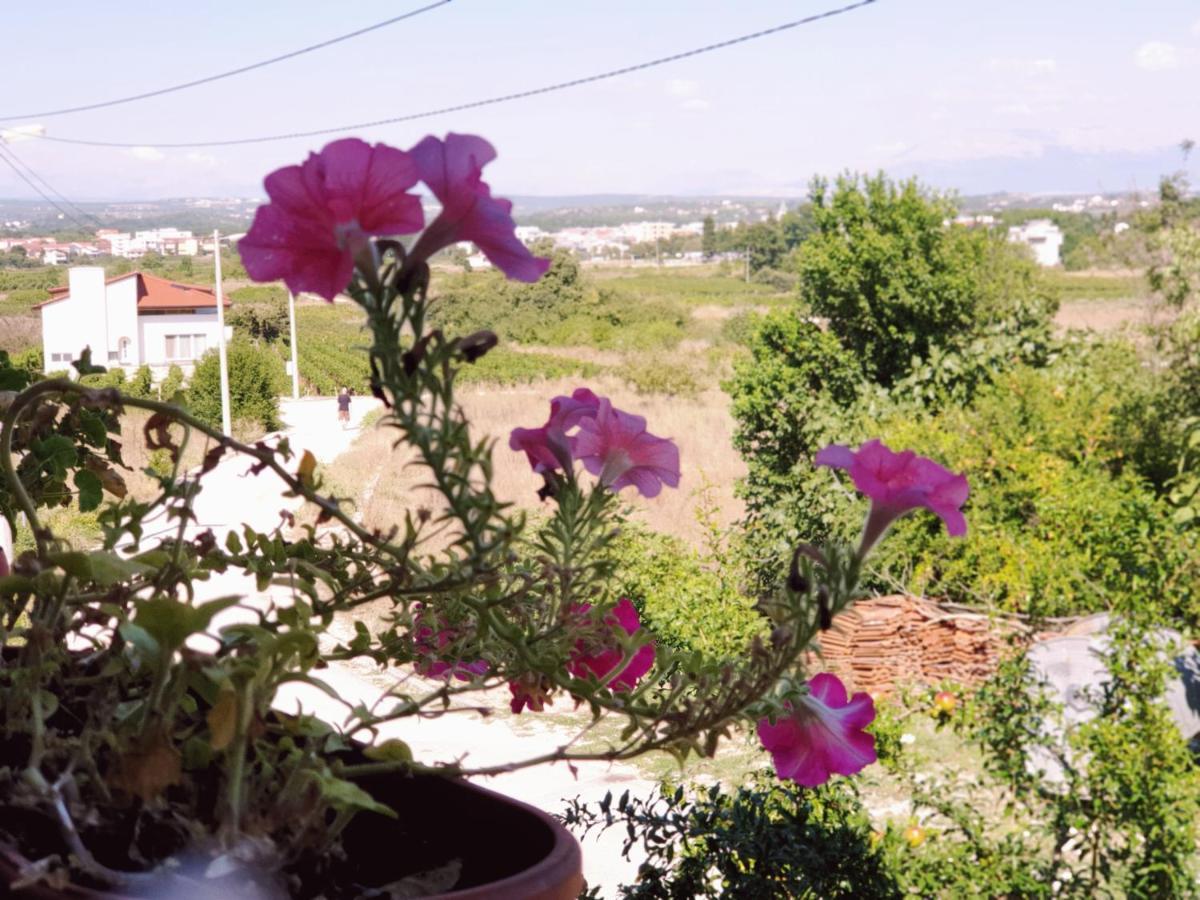 Delia Medjugorje Exterior foto